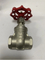 Stainless Steel Thread Gate Valve