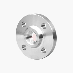 Stainless Steel Threaded Flange