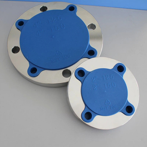 Fordeg Stainless Steel Flange