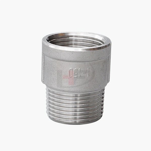 Stainless Steel Male Female Thread Reducer