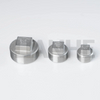 Stainless Steel Thread SQ Plug