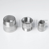 Stainless Steel Male Female Thread Reducer