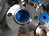 Fordeg Stainless Steel Flange