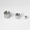 Stainless Steel Coupling/Socket 150#