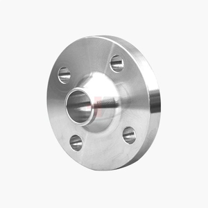 Stainless Steel Weld Neck Flange